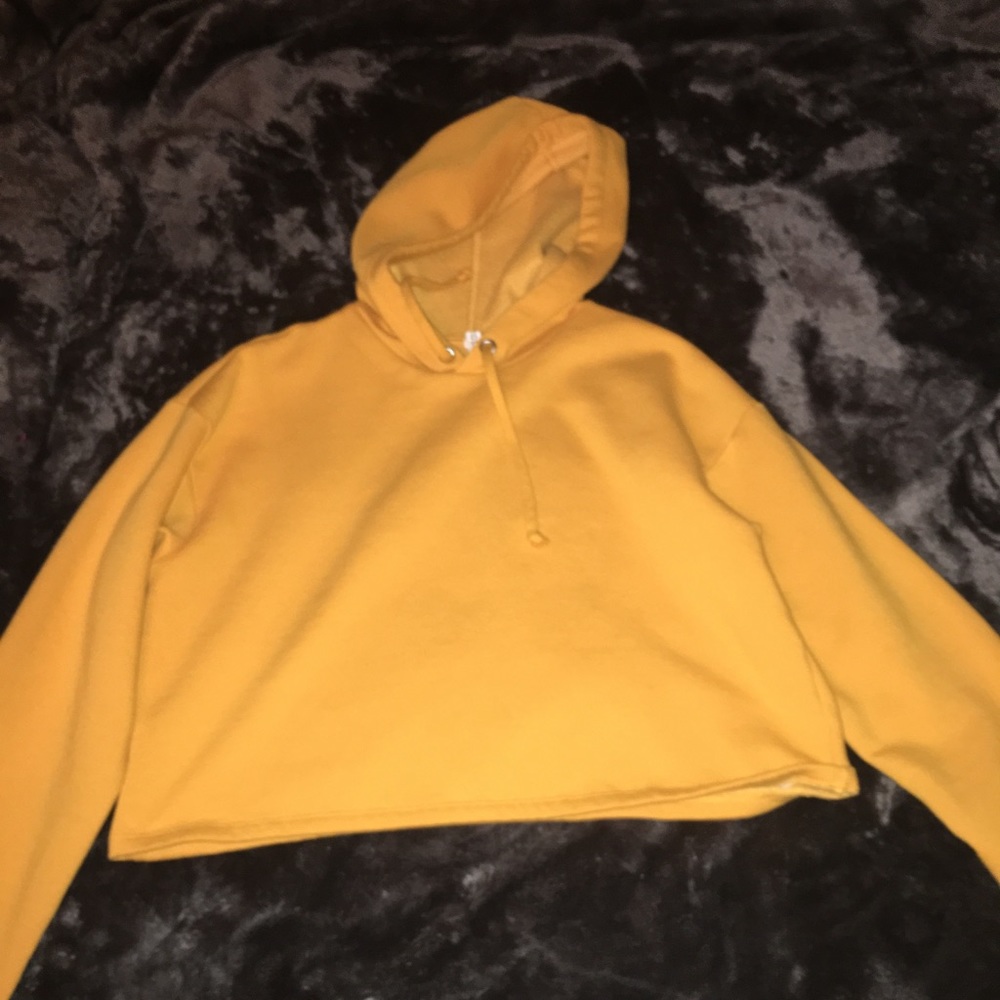 H&M divided cropped hoodie